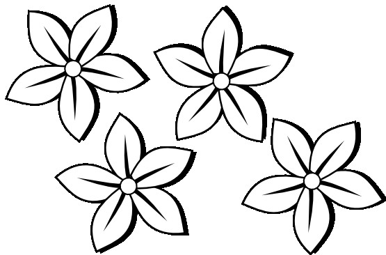 555x366 Clipart Flowers Black And White Flowers