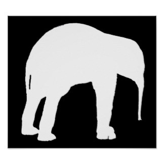 324x324 Black And White Elephant Posters Zazzle