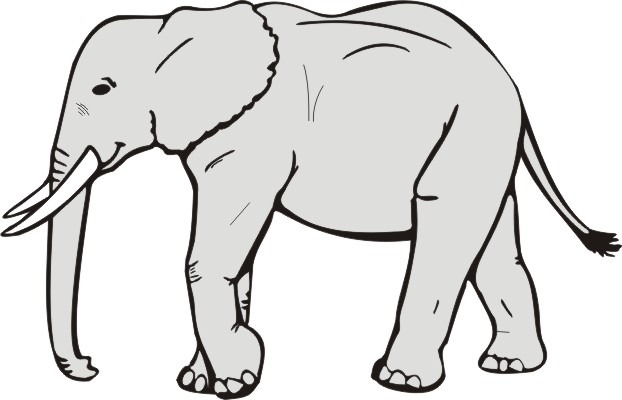 622x400 Elephant Clipart Black And White Letters Format