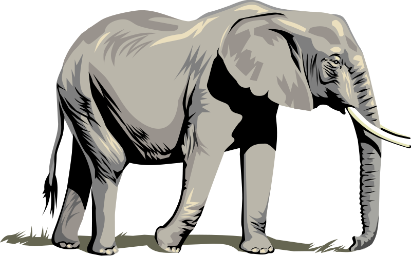 800x499 Stunning Idea Elephant Clipart Clip Art Outline Free Images 4