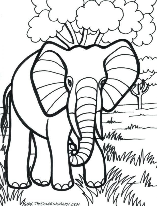 618x810 Coloring Pages Marvellous Coloring Page Elephant. Coloring Page