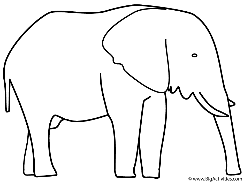 944x704 Elephant