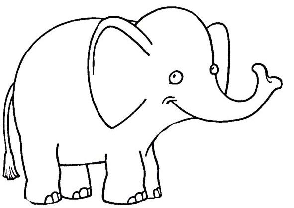 591x420 33 Best Elephant Coloring Pages Images Kindergarten