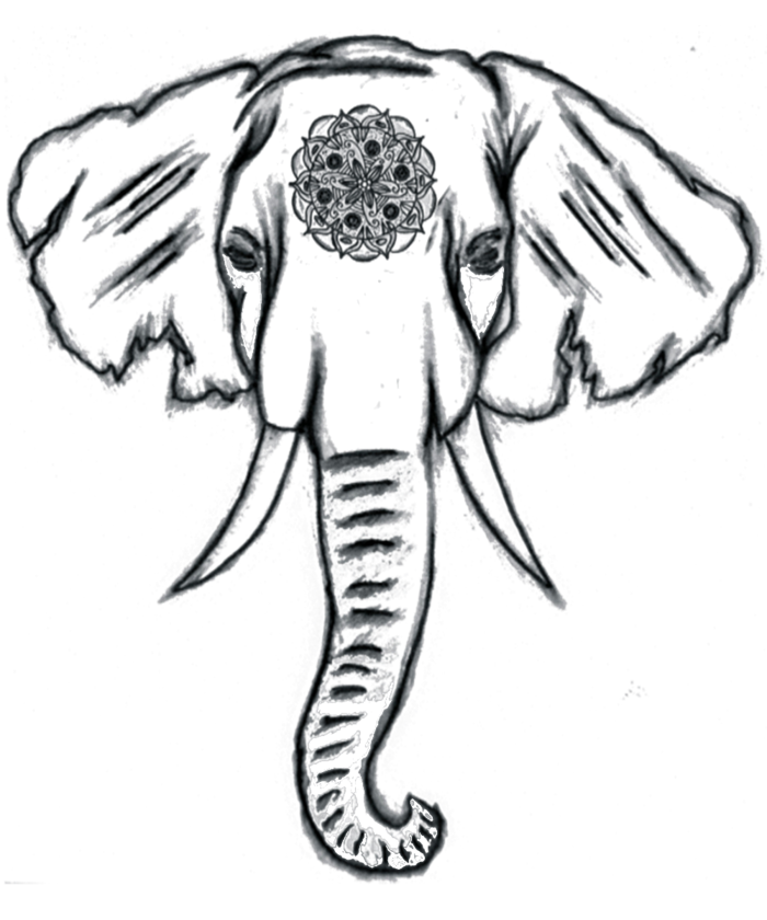 700x840 Drawn Elephant Head