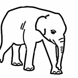 320x320 Tag For Elephant Easy Drawing Tag For Elephant Easy Drawing