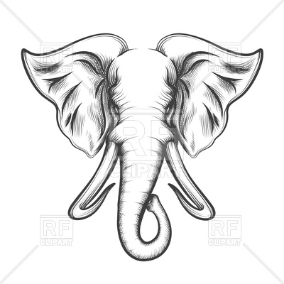 400x400 Elephant Head Drawn Royalty Free Vector Clip Art Image