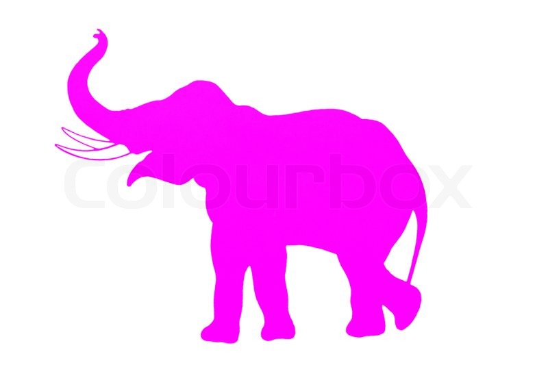 800x533 Elephant. Pink Silhouette. Stock Photo Colourbox