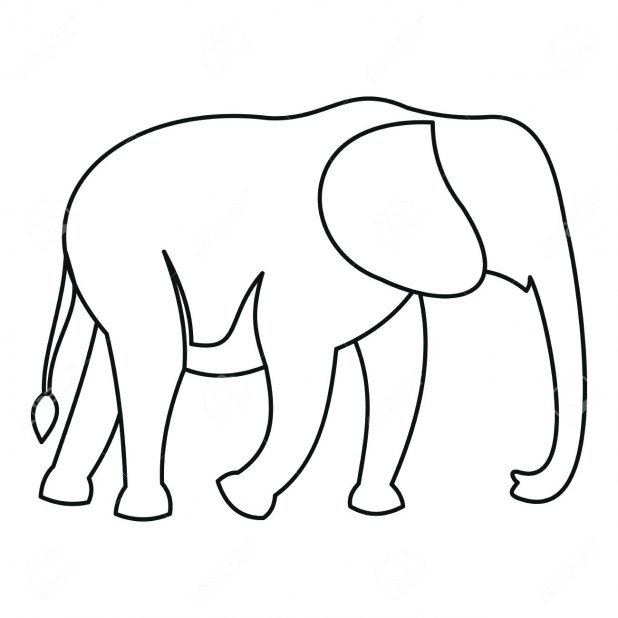618x618 Simple Elephant Outline Group