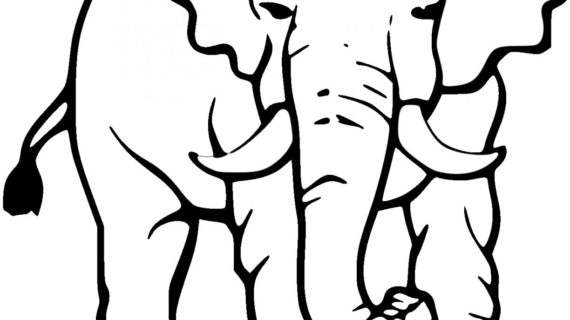 570x320 Black And White Elephant Drawing Black And White Elephant Drawing