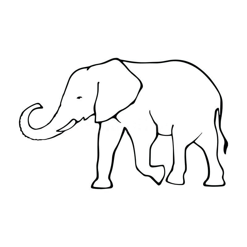 800x800 Outline Of Elephant Cool Black Outline Mandala Elephant Tattoo