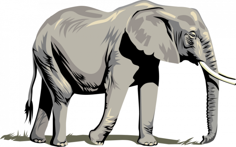 768x479 Wonderful Design Elephant Clipart Clip Art Free Download Panda
