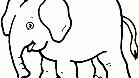570x320 Outline Drawing Of An Elephant Baby Elephant. Outline Drawing