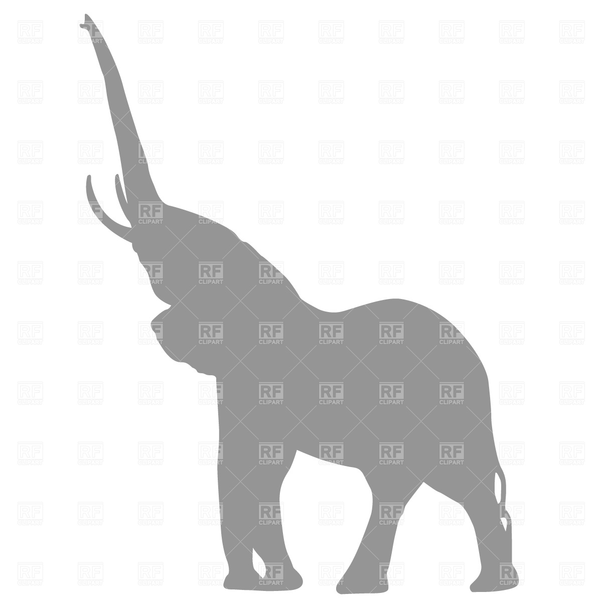 1200x1200 Gray Clipart Elephant Trunk