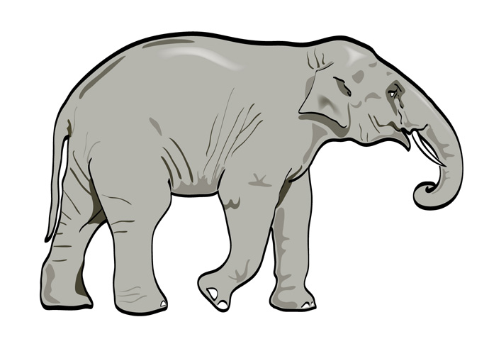 690x478 Elephant Clip Art Vector Cliparts