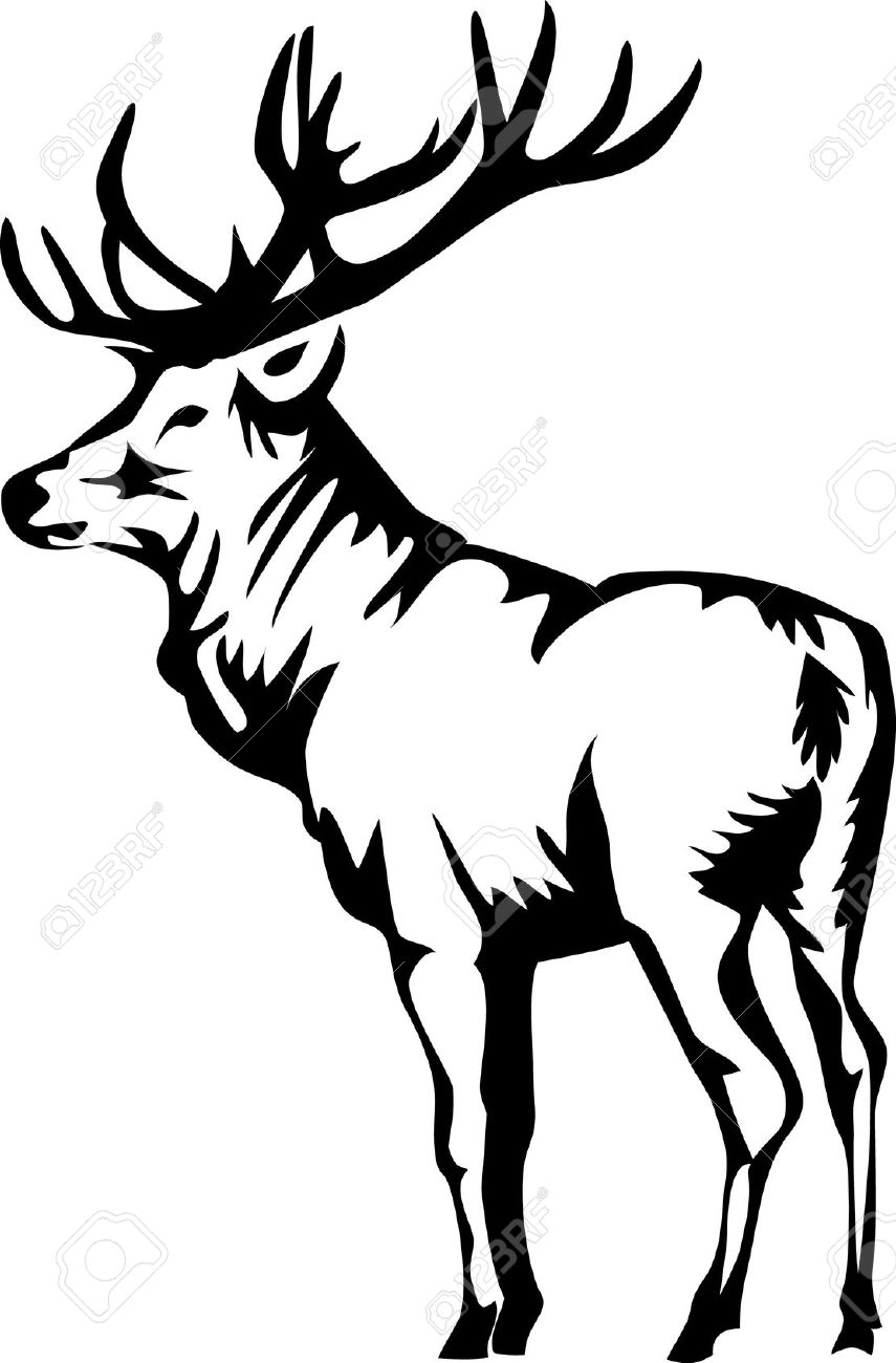 855x1300 Elk Clip Art