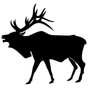 300x300 Elk Black And White Clipart
