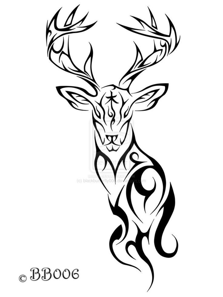 736x981 The Best Elk Tattoo Ideas Deer Head Tattoo