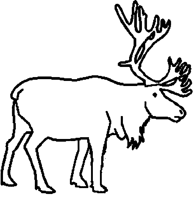 652x662 Top 94 Caribou Clip Art