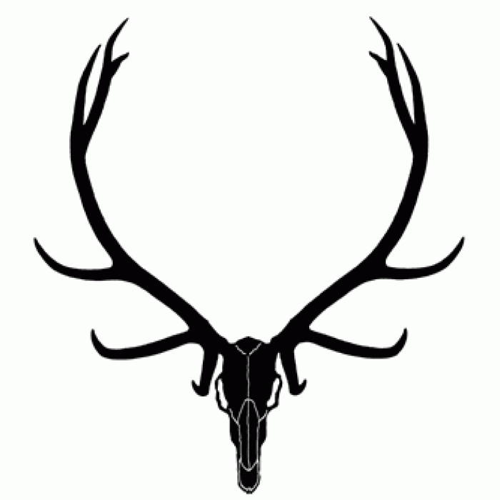 700x700 Elk Skull Clipart
