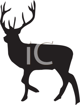 266x350 Royalty Free Elk Clip Art, Deer Clipart
