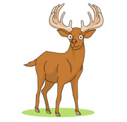 180x173 Top 80 Deer Clipart