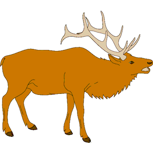 300x300 Elk Head Clip Art