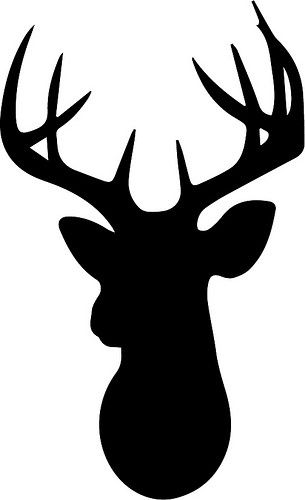 305x500 Buck Clipart Moose Head