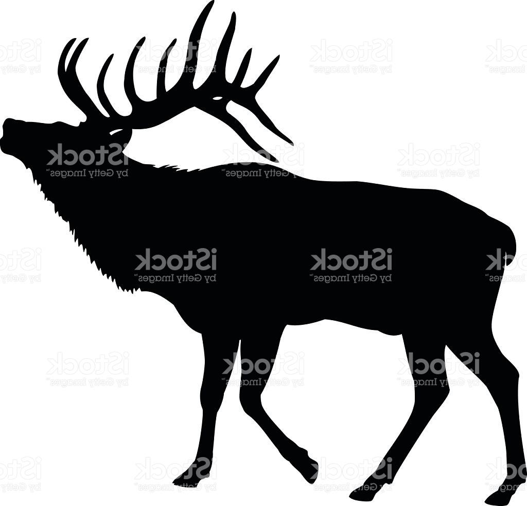 1024x983 Unique Elk Deer Silhouette Vector Design