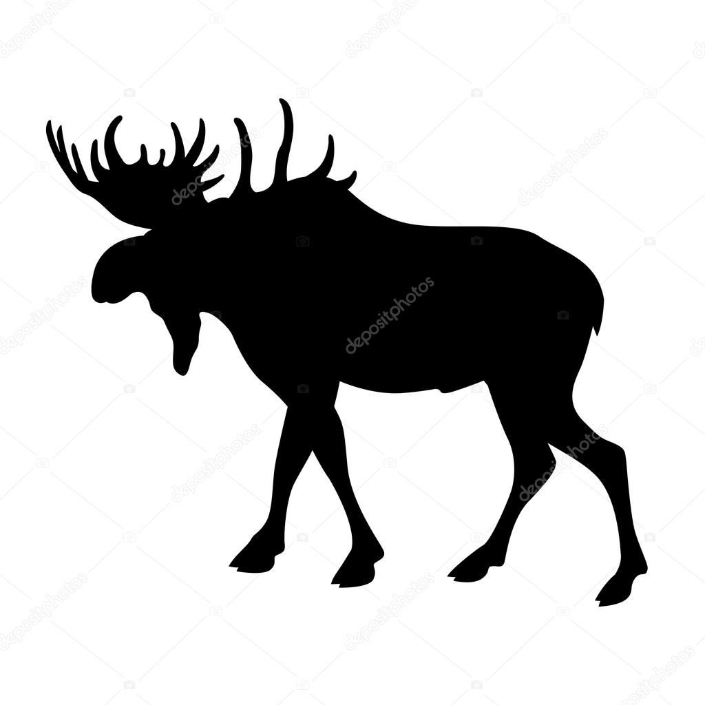 1024x1024 Moose Elk Vector Illustration Black Silhouette Stock Vector