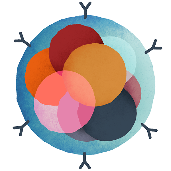 600x600 Embryo Immune Receptors Episona