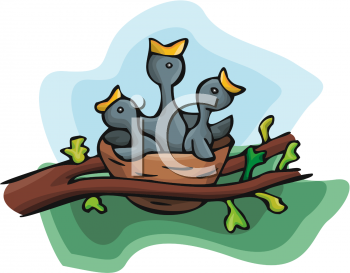350x273 Bird's Nest Clipart Cartoon
