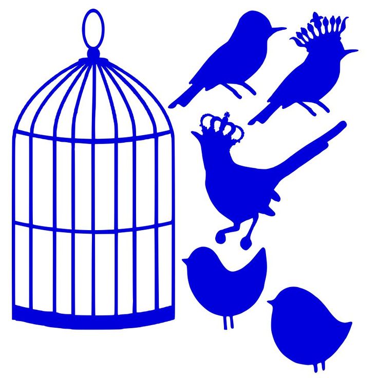 736x736 Birdcage Clipart Empty