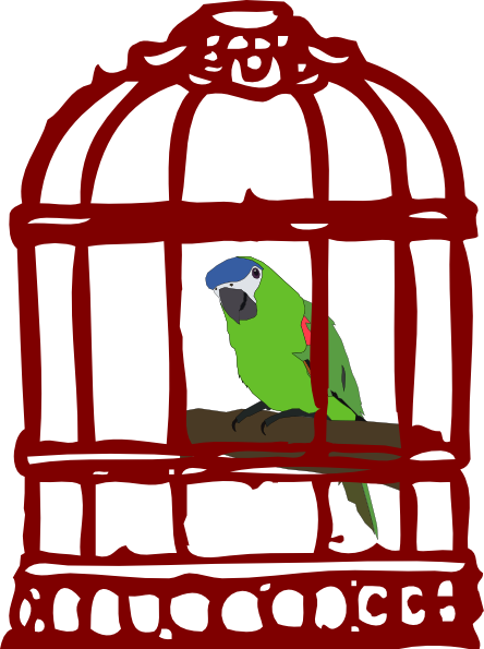 444x595 Drawn Birdcage Ornate