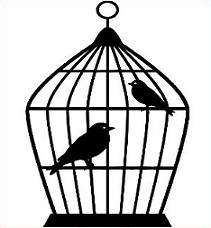 211x228 Free Bird Cage Clipart