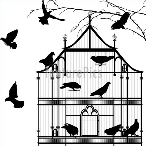 500x500 Illustration Of Birds And Birdcage Graphic