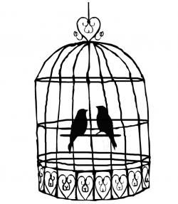 250x287 Best Birdcage Drawing Ideas Art Clipart, Bird