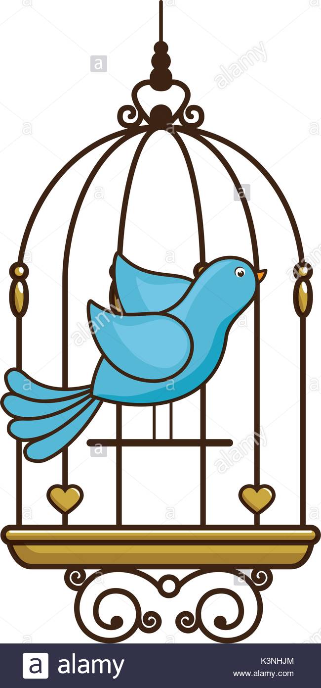 650x1390 Bird Cage Stock Vector Images