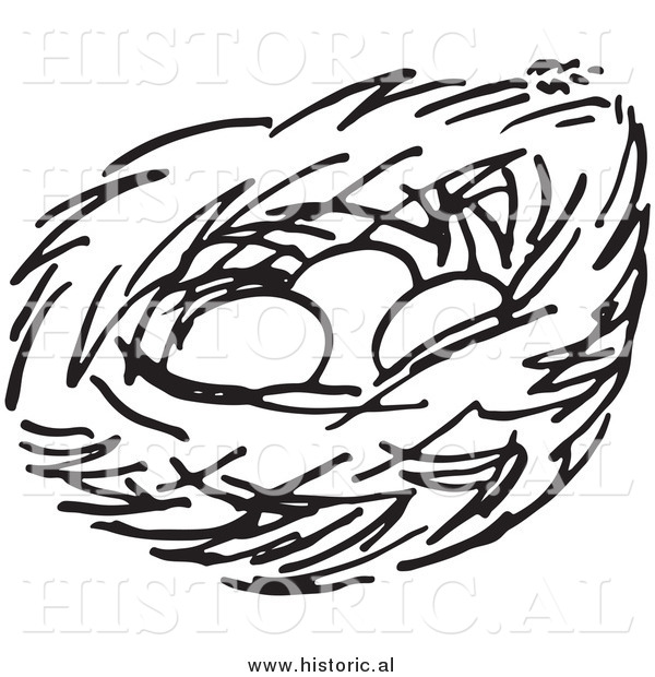 600x620 Empty Bird Nest Clip Art Black And White