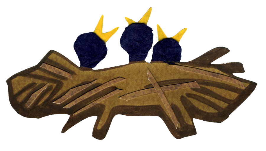 900x512 Nest Clipart Transparent Background