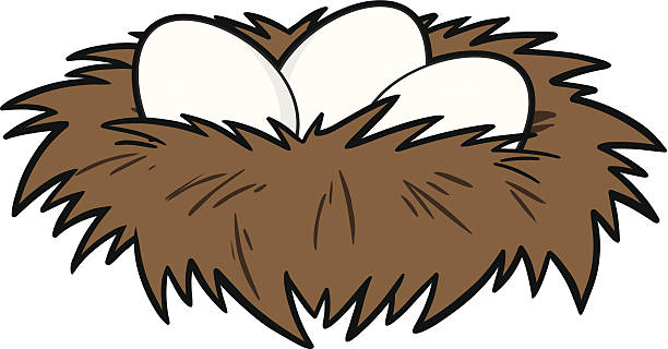 612x320 Nest Clipart Vector