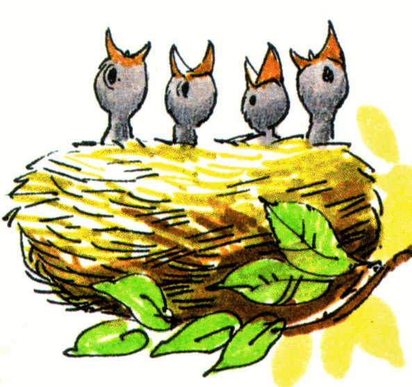 593x557 Bird Nest Clip Art
