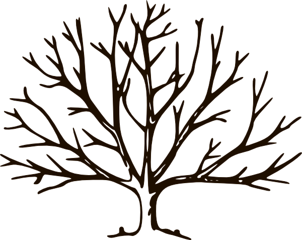 600x477 Roots Clipart Empty Tree