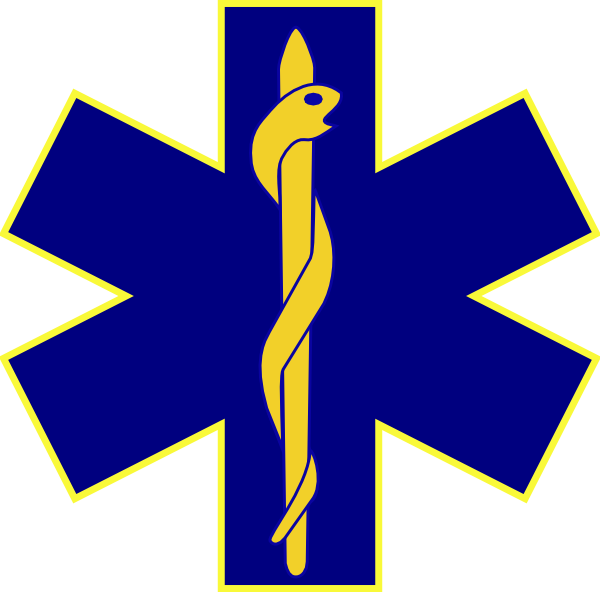600x592 Paramedic Logo
