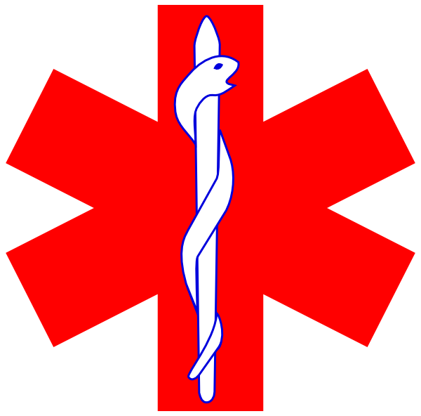 600x592 Red Paramedic Logo