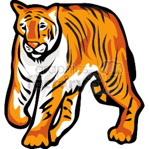 300x300 Royalty Free Large Tiger On All Fours, Walking 130944 Vector Clip