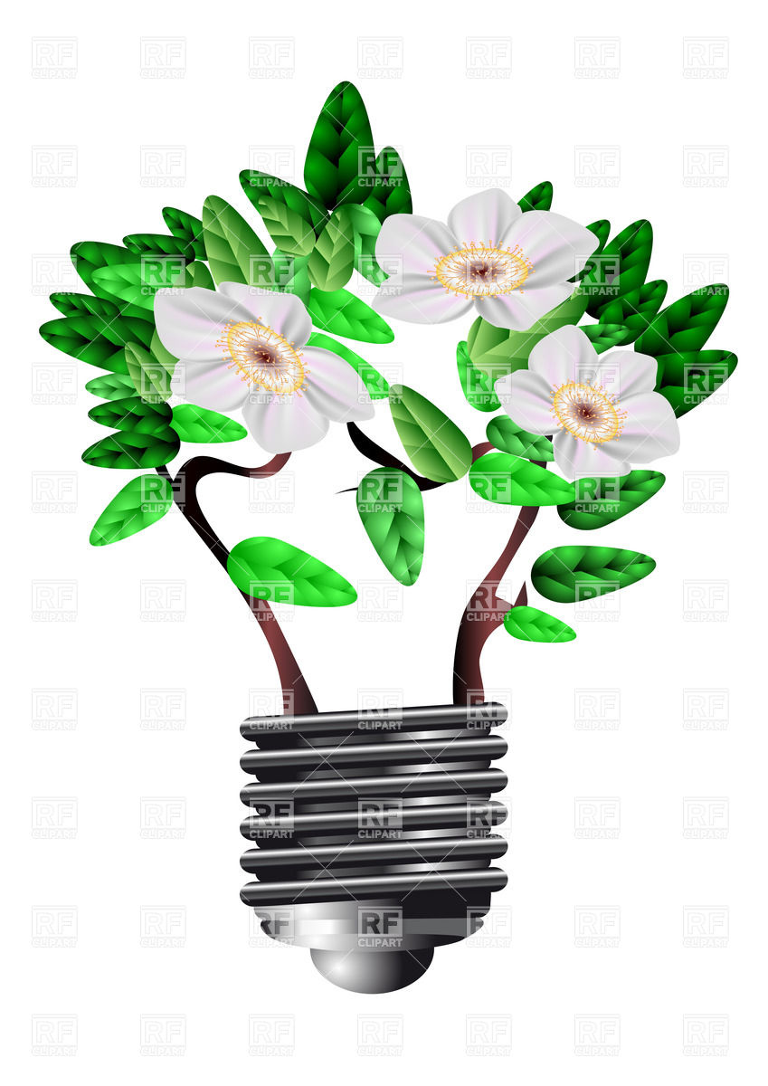 849x1200 Blooming Bulb