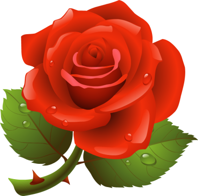 400x396 Rose Clipart
