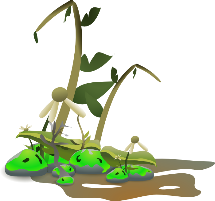 700x654 Environmental Clipart