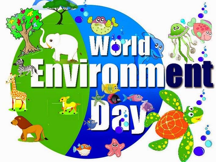 707x533 Best Slogan On Save Environment Ideas Slogan