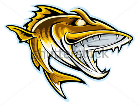 450x345 Walleye Clipart